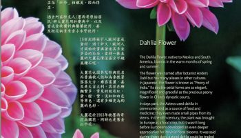 Issue 5-Flower