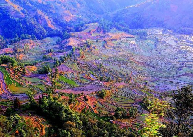 The Marvel of China’s Multi-generational Rice Terrace