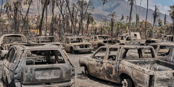 Charred vehicles in Lahaina. Due to the intense heat and the rapid advance of the fire, witnesses commented that the City of Lahaina literally disappeared. (Photo: dnyuz.com)