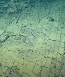 Deep-sea 'yellow brick road'. (Photo:  YouTube Screenshot/ EVNautilus)