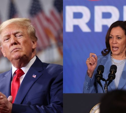 Trump- Harris (Photo: vlelc.tdvxyc.com)