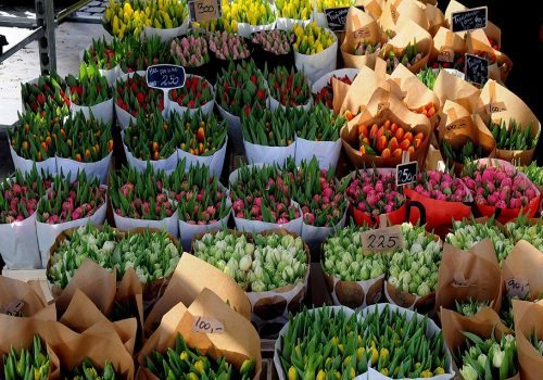 Flower vandor markets tulips flowers in Copenhagen Denmark. (Photo:© Deanpictures
| Dreamstime.com)