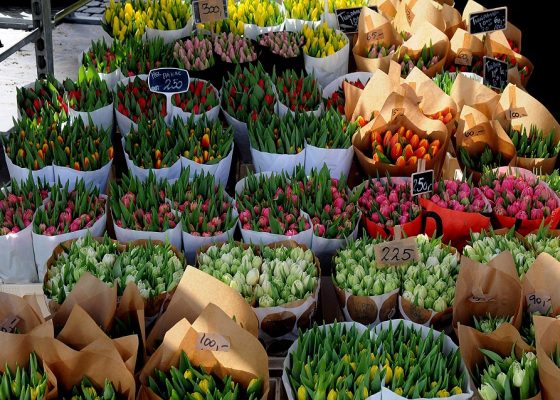 Flower vandor markets tulips flowers in Copenhagen Denmark. (Photo:© Deanpictures
| Dreamstime.com)