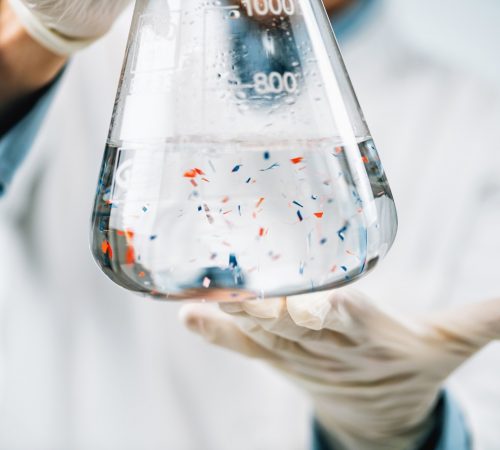 Laboratory analysis of microplastics. (Photo:© Microgen|Dreamstime.com)