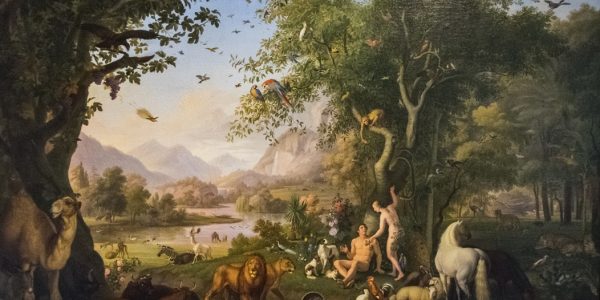 Great canvas `adam and eve in the garden of eden` peinted. by Wenzel Peter in 1745. Vatican musiems pinacoteca, Rome. (Photo:© Roman Romanadze/Dreamstime.com)
