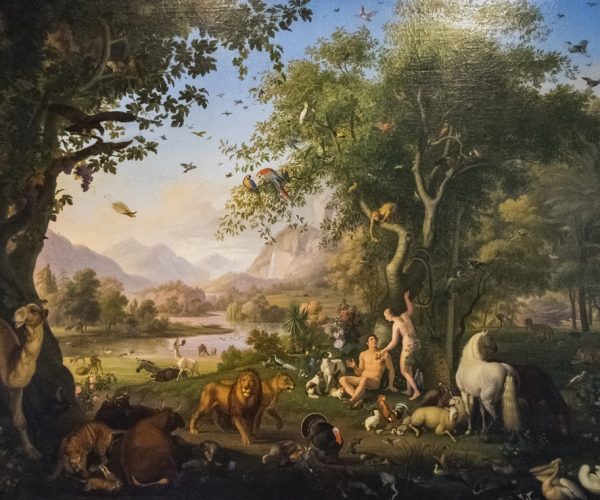 Great canvas `adam and eve in the garden of eden` peinted. by Wenzel Peter in 1745. Vatican musiems pinacoteca, Rome. (Photo:© Roman Romanadze/Dreamstime.com)