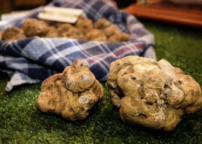The White Truffle - The World's Most Expensive Fungus