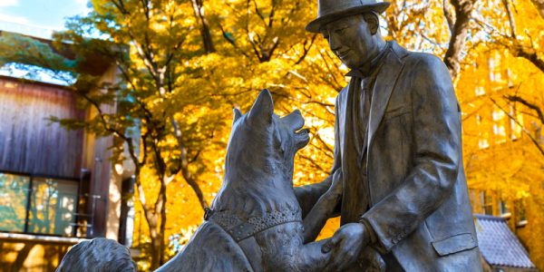 Hachiko with Dr. Hidesaburo Ueno statue at Tokyo University, Todai campus, the dog is remarkable loyalty to his owner which continued for ten years after his owner`s death. (Photo: © Cowardlion | Dreamstime.com)