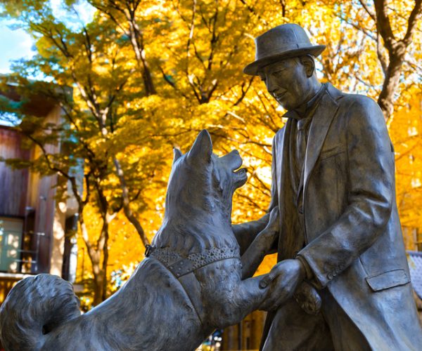 Hachiko with Dr. Hidesaburo Ueno statue at Tokyo University, Todai campus, the dog is remarkable loyalty to his owner which continued for ten years after his owner`s death. (Photo: © Cowardlion | Dreamstime.com)
