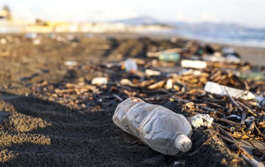 Can The World Live Without Plastic?