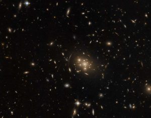 Observing Cosmic Contortions through a Gravitational Lens