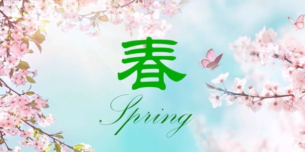 Spring. Relaxing music, Erhu solo