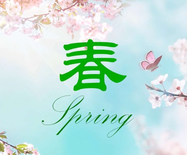 Spring. Relaxing music, Erhu solo