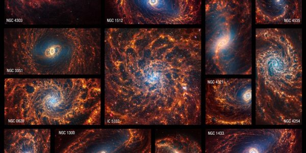 Nineteen Webb images of face-on spiral galaxies are combined in a mosaic, some within squares, and others horizontal or vertical rectangles. Galaxies’ spiral arms appear in shades of orange, and many of their centres have light blue hazes. (Photo: NASA, ESA, CSA, STScI, J. Lee (STScI), T. Williams (Oxford), PHANGS Team, E. Wheatley (STScI)