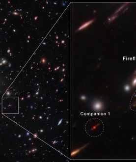 Miles de objetos superpuestos a varias distancias se extienden a través de este campo, incluidas las galaxias en un cúmulo de galaxias masivo y las galaxias de fondo distorsionadas detrás del cúmulo de galaxias. El fondo del espacio es negro . (Photo: NASA, ESA, CSA, STScI)