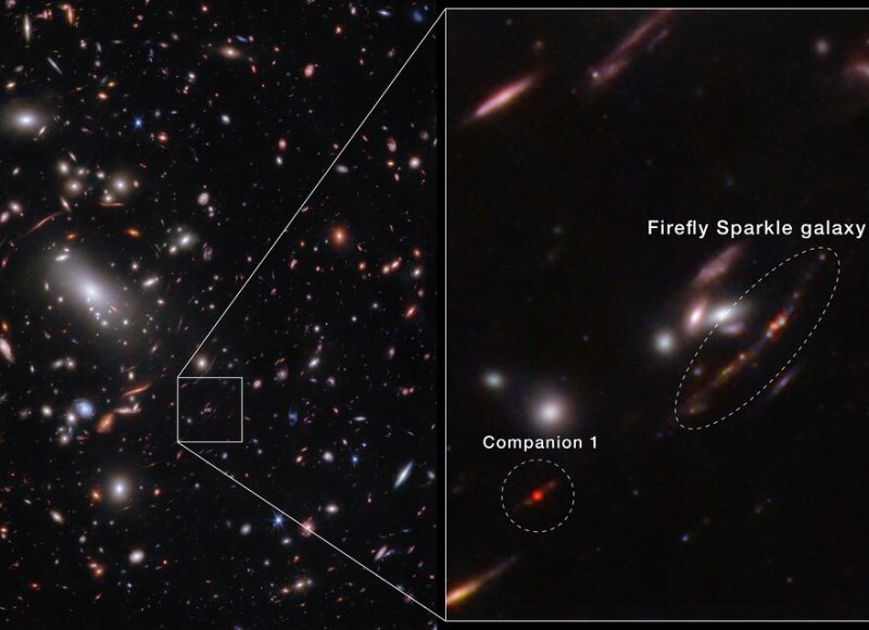 Miles de objetos superpuestos a varias distancias se extienden a través de este campo, incluidas las galaxias en un cúmulo de galaxias masivo y las galaxias de fondo distorsionadas detrás del cúmulo de galaxias. El fondo del espacio es negro . (Photo: NASA, ESA, CSA, STScI)